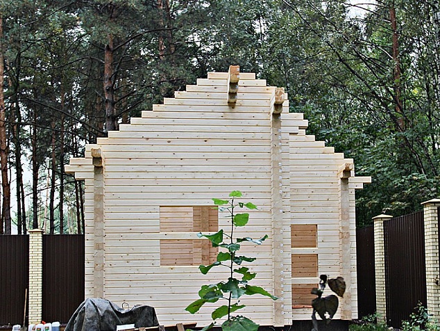 строительство деревянных домов проекты